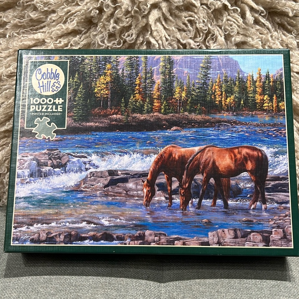 Cobble Hill On the Rocks 1000 Piece adult Jigsaw Puzzle